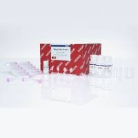 Qiagen 74104 总RNA小提试剂盒