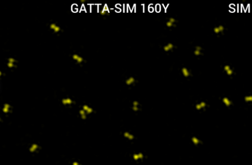 德国GATTA-SIM 纳米尺检查SIM 结构光系统分辨率的理想样本
