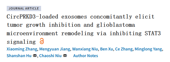 IF：14+，外泌体circPRKD3“断联”IL6ST-STAT3，胶质瘤 TAMs 重编程+ CD8⁺T细胞招募双 buff 拉满！