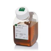 胎牛血清，胚胎干细胞合格，新西兰来源，30044333