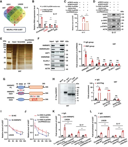 外泌体技术服务 外泌体技术服务