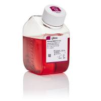 Advanced DMEM/F-12，12634028-5000mL