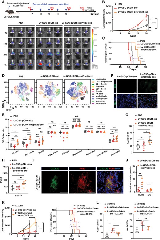 外泌体技术服务 外泌体技术服务