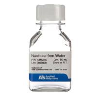 无核酸酶水(未经 DEPC 处理)AM9937
