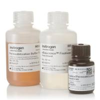 eBioscience™ Foxp3/转录因子流式固定破膜缓冲液，00-5523-00