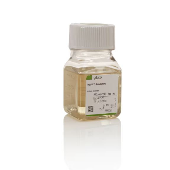 TrypLE™ Select 酶 (10X),无酚红,A1217701