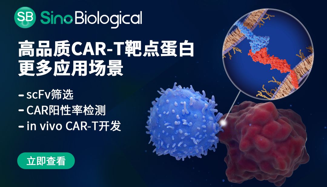 「综述文章」CAR-T突破实体瘤微环境抑制的5大策略及靶点研究新进展