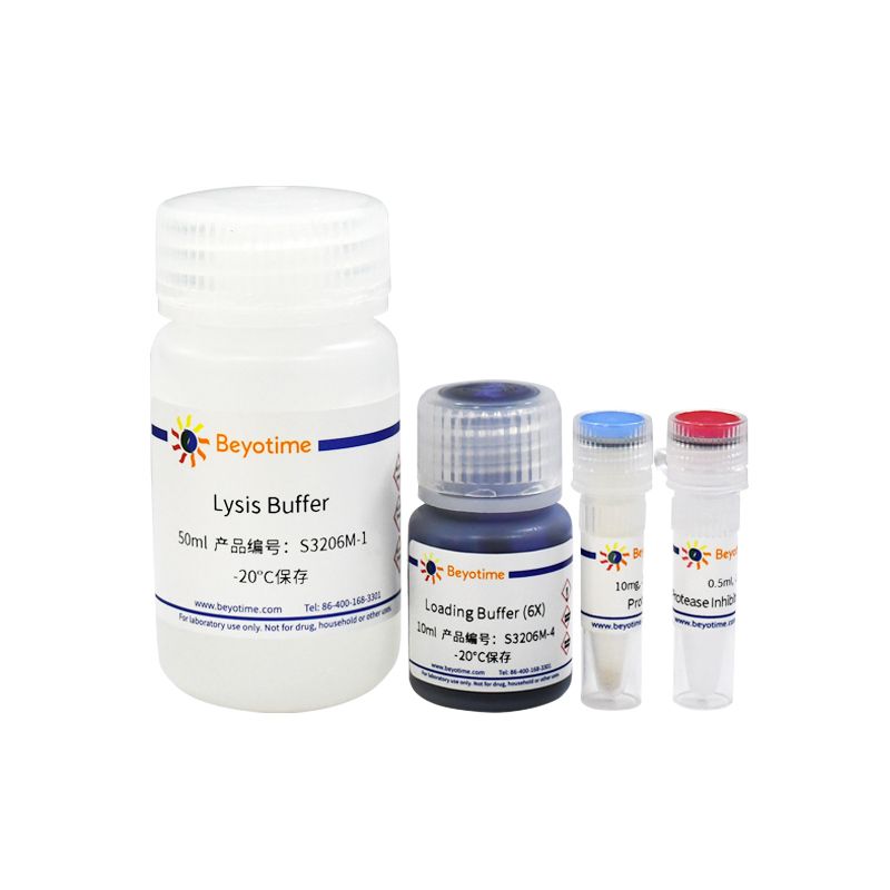 药物亲和反应靶蛋白稳定性检测试剂盒(DARTS Assay Kit)