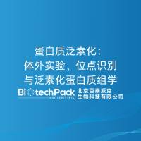 蛋白质泛素化:体外实验、位点识别与泛素化蛋白质组学