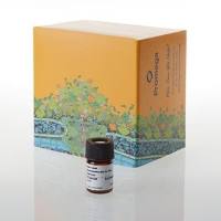 Nano-Glo® Fluorofurimazine 活体成像底物（NanoLuc®萤光素酶底物）