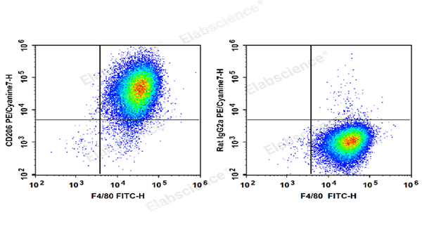 Elabscience PE/Cyanine7 标记抗小鼠 CD206/MMR 抗体[C068C2]：精准助力巨噬细胞分型，科研效率 UP！