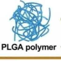 FITC示踪的pH敏感PLGA纳米系统实现阿奇霉素在酸性内涵体中的精准释放 AZM/FITC@PLGA NPs@Eudragit S100