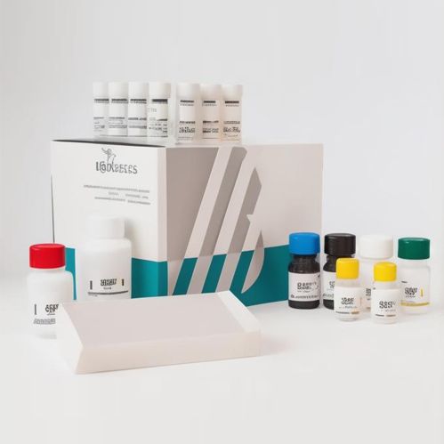 Intact FGF23 ELISA Kit 全段FGF23 ELSIA试剂盒 | BI-20700