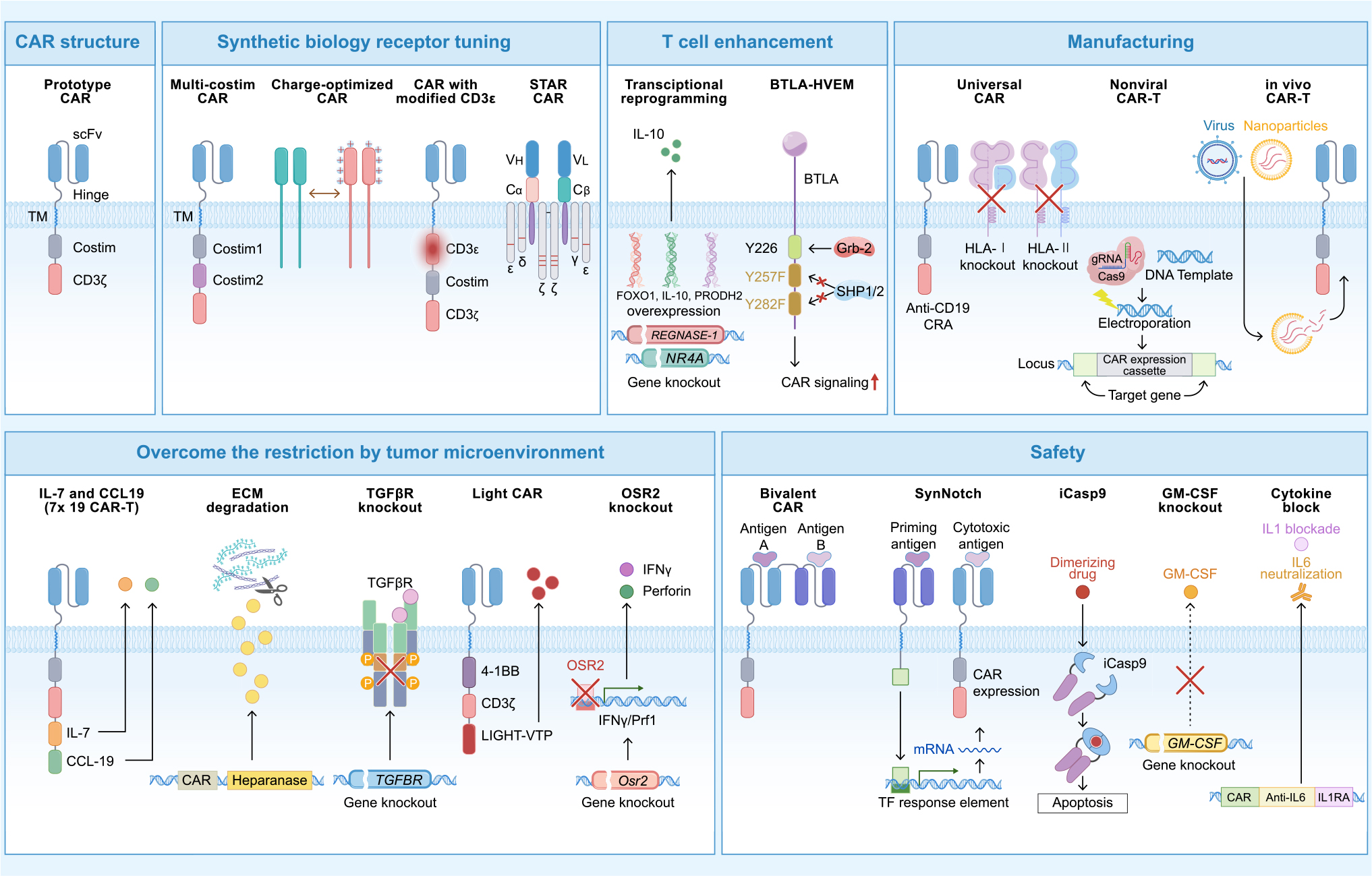 「综述文章」CAR-T突破实体瘤微环境抑制的5大策略及靶点研究新进展