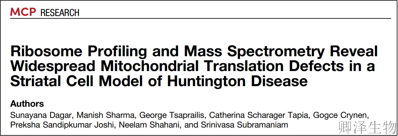 【线粒体翻译】  线粒体翻译大塞车！亨廷顿病新型致病机制破解
