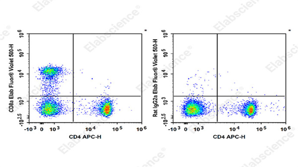 高特异性 + 稳荧光！Elabscience Elab Fluor® Violet 500 标记抗小鼠 CD8a 抗体[53-6.7]，解锁免疫细胞分析新体验