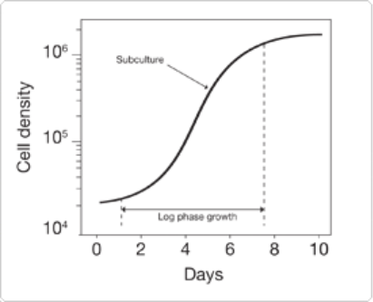 细胞传代培养步骤全流程指南与关键技术要点解析-赛默飞