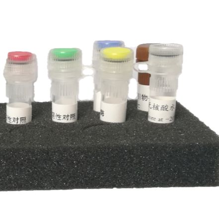 猪支原体肺炎抗体ELISA试剂盒