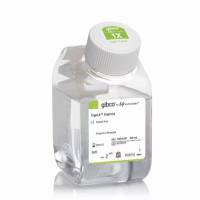 TrypLE™ Express 酶 (1X)，无酚红，12604021-500mL