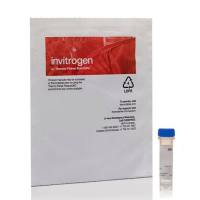 表皮生长因子、荧光素偶联物(荧光素 EGF),E3478