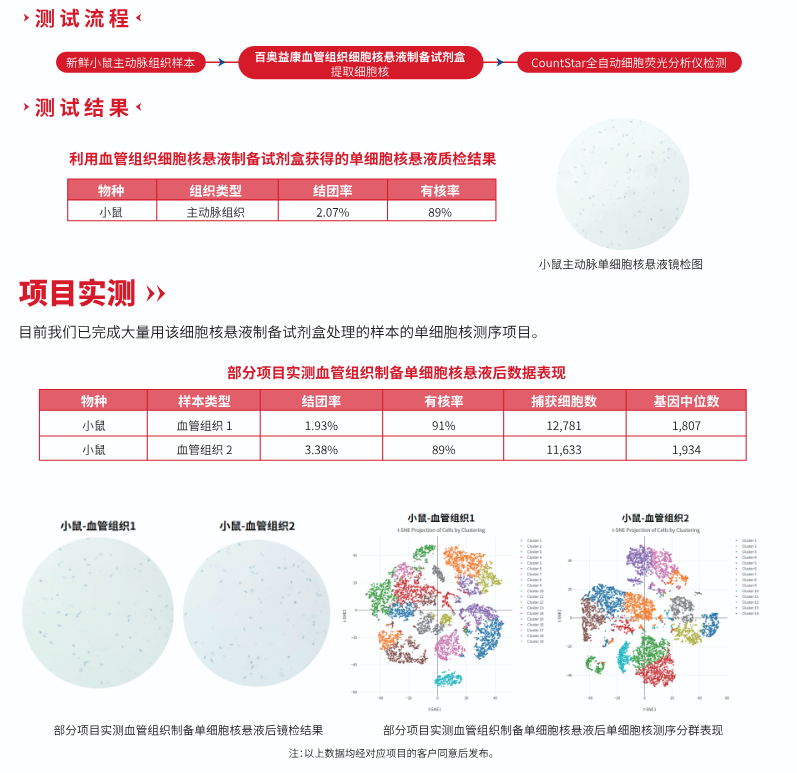 实验秘诀 | 血管研究效率低？这款细胞核悬液制备试剂盒帮你破局！