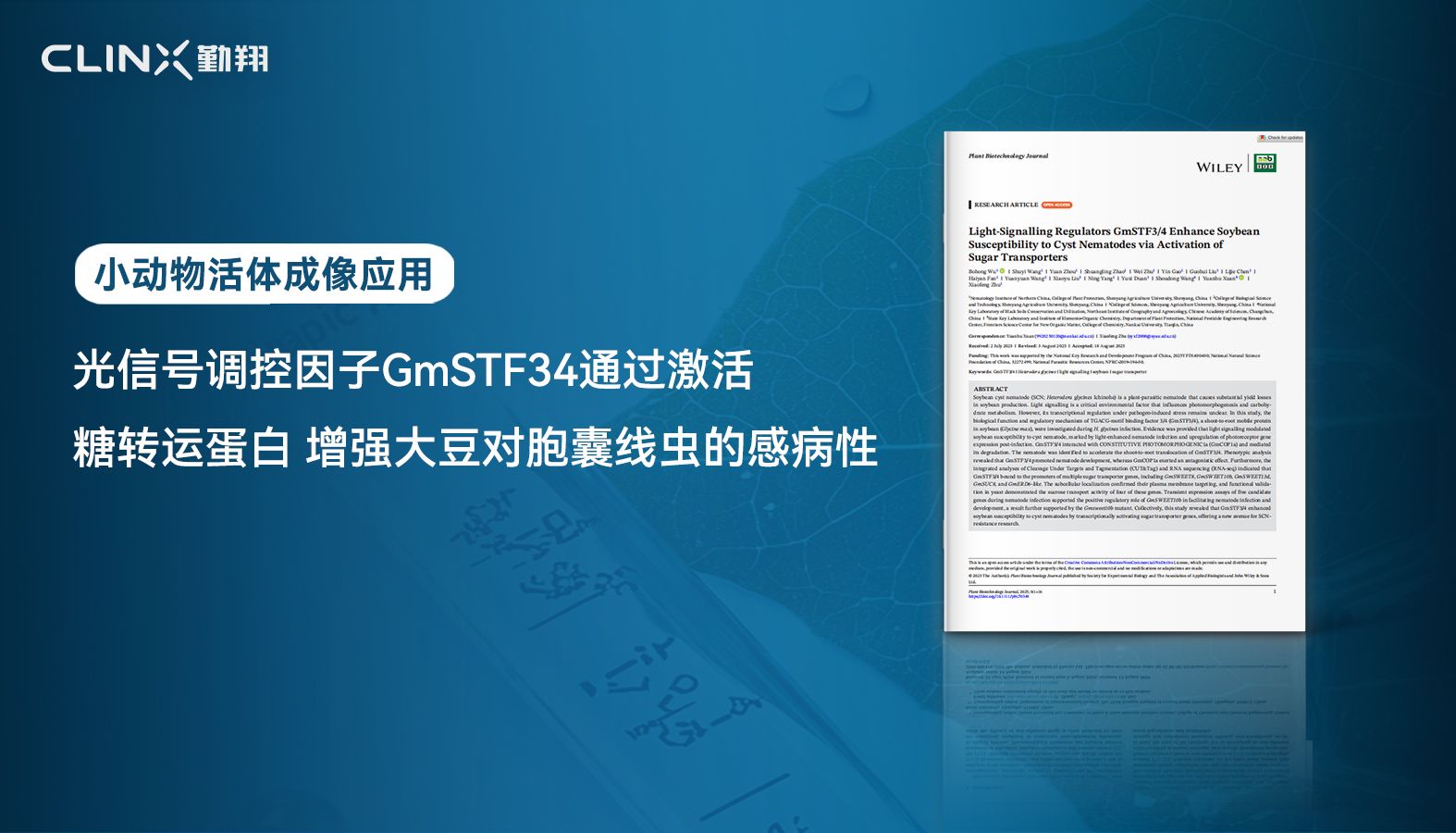 文献解读｜光信号调控因子GmSTF34通过激活糖转运蛋白增强大豆对胞囊线虫的感病性