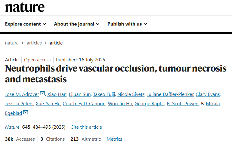 Nature丨颠覆认知！组织透明化成像首次揭示中性粒细胞介导血管阻塞、肿瘤坏死及转移进程