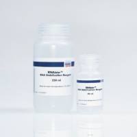 Qiagen 76104 组织样品RNA稳定液