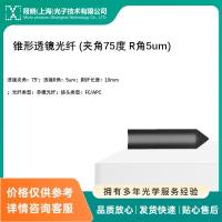 锥形透镜光纤 (夹角75度 R角5um)