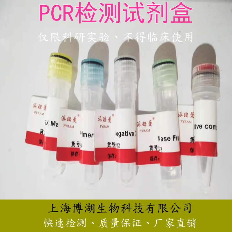 PCR鉴定试剂盒的保存条件解析
