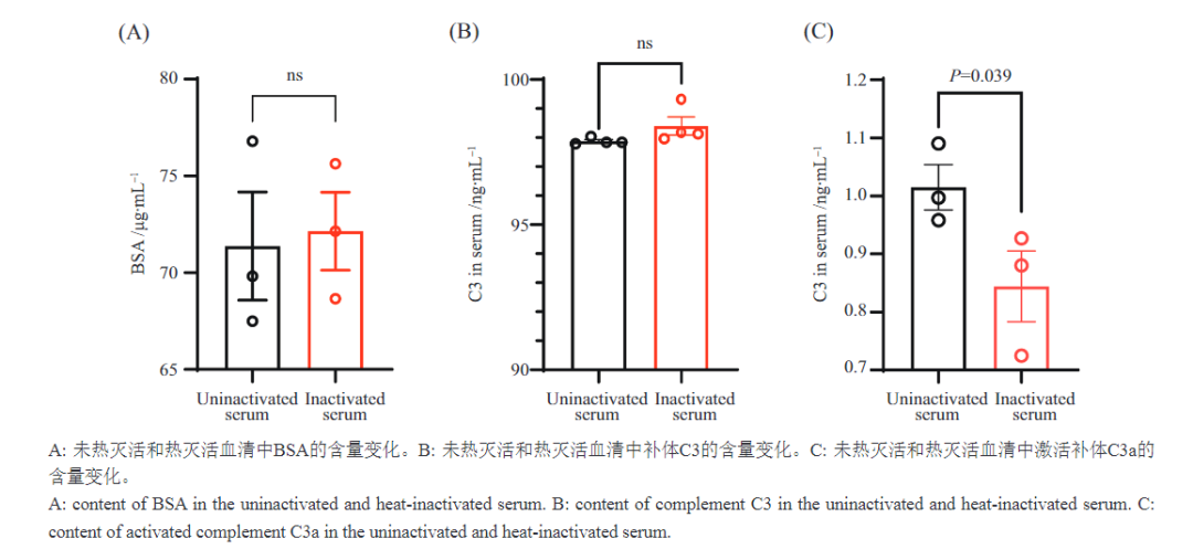 细胞培养灭活or不灭活？如何选择