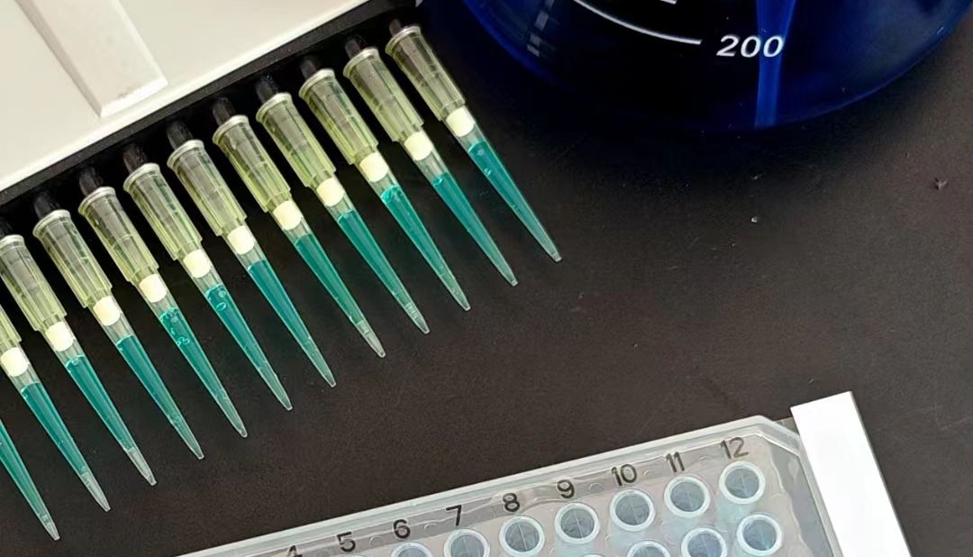 Bunsen本生耗材系列移液器吸头信息汇总