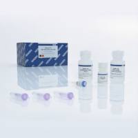 Qiagen 28706 凝胶回收试剂盒