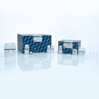 Qiagen 51306 基因组DNA小提试剂盒