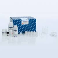 Qiagen 55114 血清血浆核酸纯化试剂盒