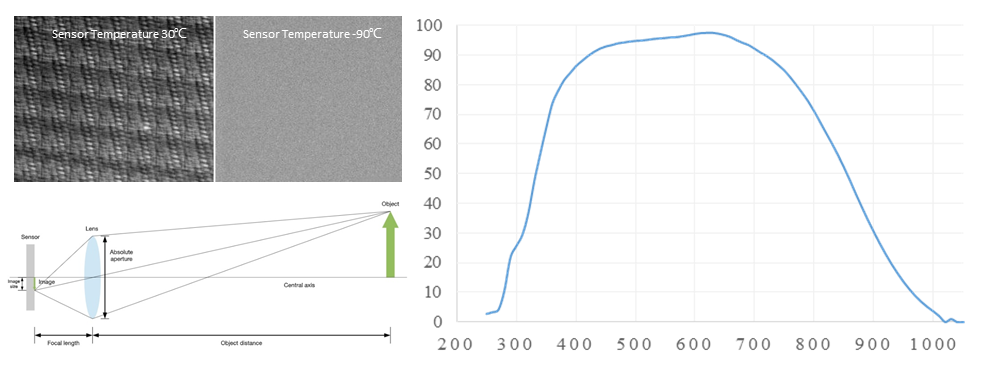 MOIS HT小动物活体光学成像系统