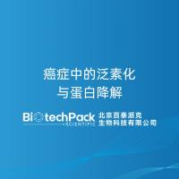 癌症中的泛素化与蛋白降解