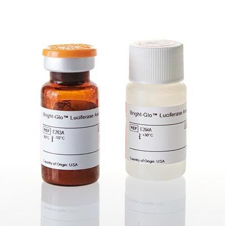 Bright-Glo™ 萤光素酶检测系统（萤火虫萤光素酶检测试剂）