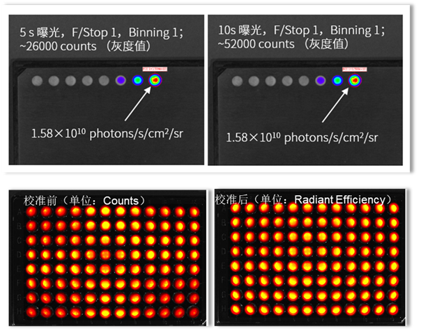 MOIS HT小动物活体光学成像系统