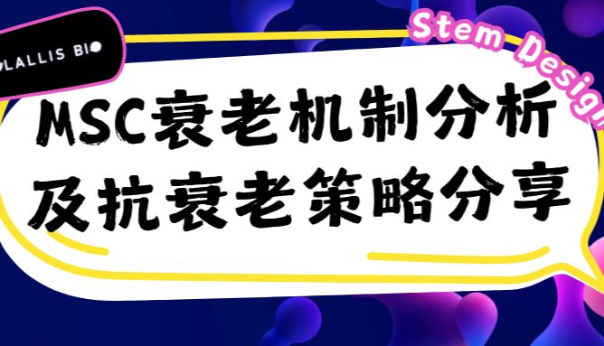 MSC间充质干细胞衰老机制分析及抗衰老策略分享