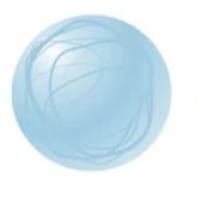 聚乳酸-羟基乙酸共聚物纳米颗粒包载左旋多巴 PLGA NPs@Levodopa(L-DOPA)