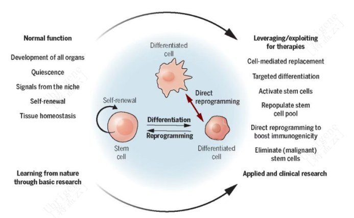 Nature/Science 齐发：PBMC 重编程高效安全递送机制获突破，iPSC 临床转化不断提速！