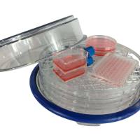 细胞缺氧培养小室 缺氧小室