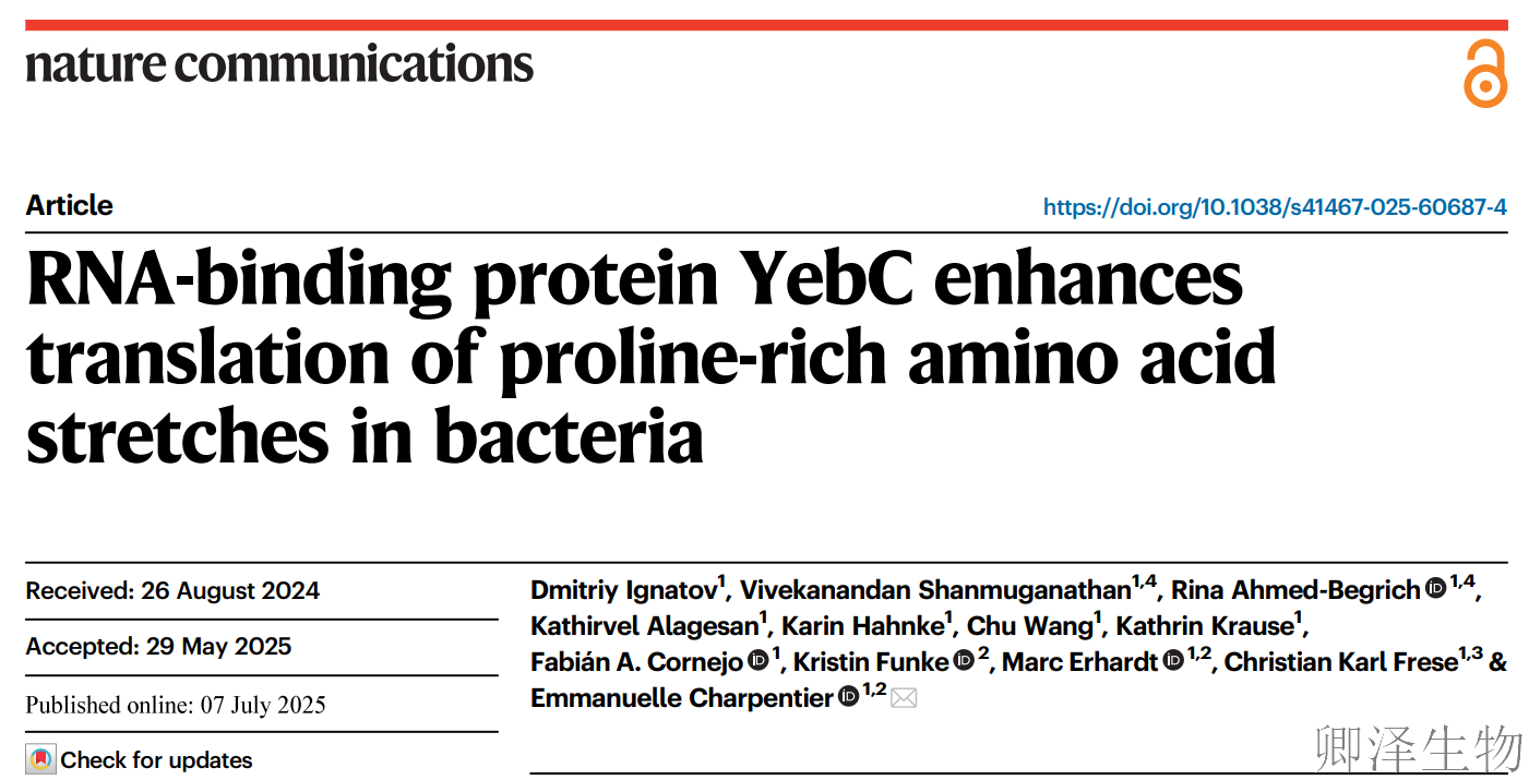 【RBP调控翻译】 | 细菌翻译“交通警”YebC：专治核糖体“脯氨酸拥堵”