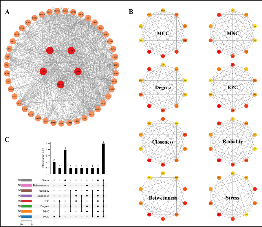 6389431119754524711932022