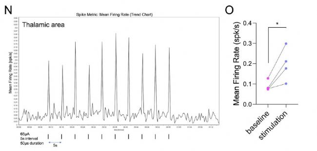 3Brain高分文献速递-类脑篇