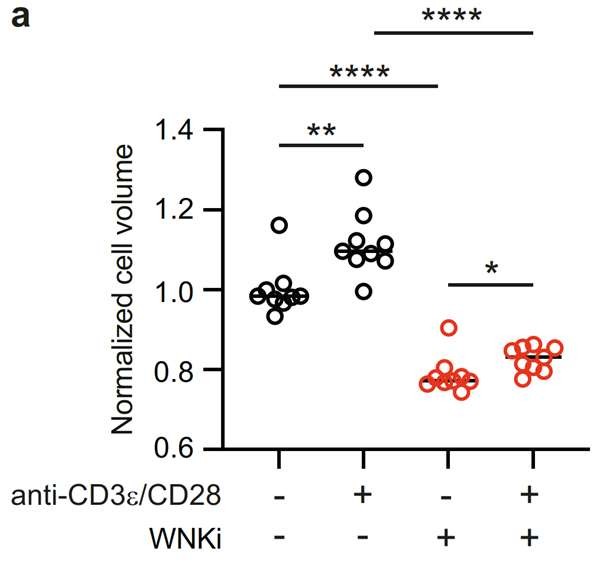 CASY 3D无标记细胞分析仪：为细胞研究提供精准数据