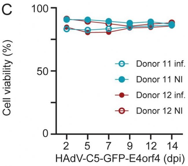 CASY 3D无标记细胞分析仪：为细胞研究提供精准数据