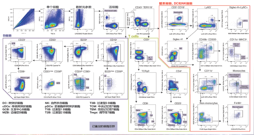Attune Xenith全光谱流式细胞分析仪： 多维革新赋能精准细胞研究