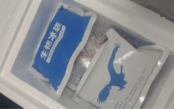 实验秘诀 | 百奥益康动物胃肠道组织保存液使用注意事项